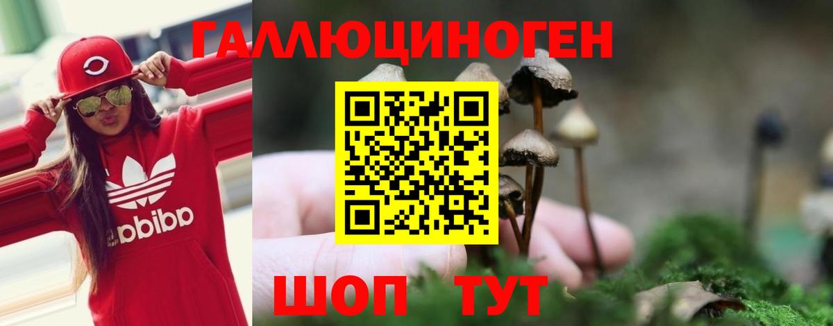 Ейск  Псилоцибиновые грибы MAGIC MUSHROOMS  купить наркотики сайты  Вход с VPN 
