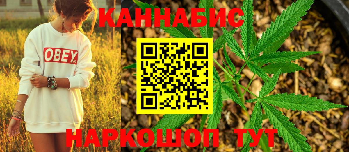 Каннабис план  Каннабис THC 21%  Вход с VPN  Марихуана OG Kush  Ейск 